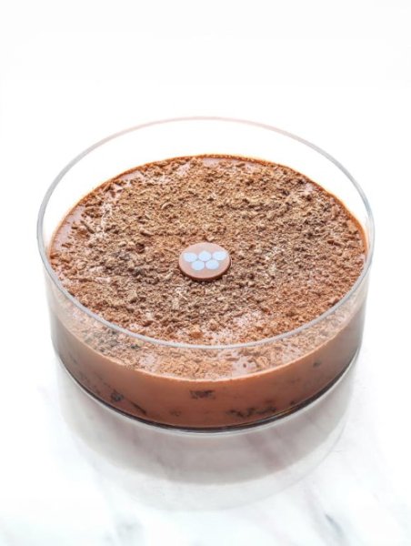 Chocolate Heaven Bowl