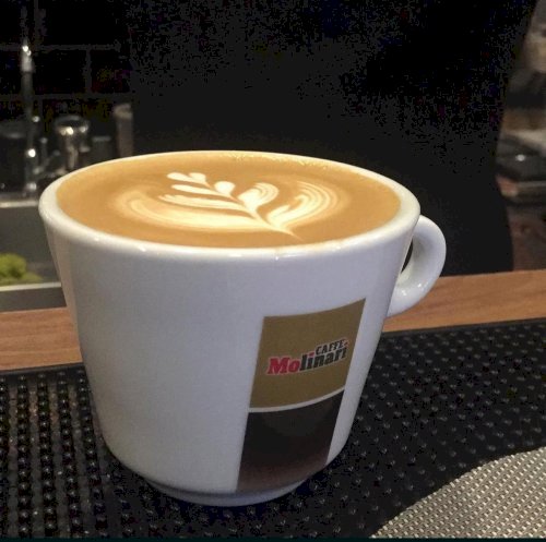 MOLINARI LATTE CUP