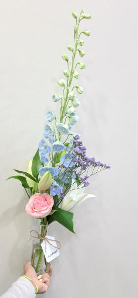 Lily and Blue ليلي وبلو