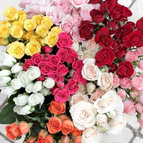 Fresh Flower Garland قلادة ورد طبيعي