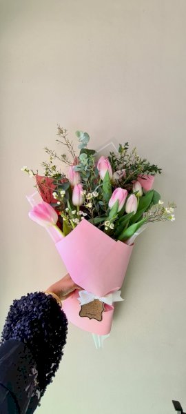Pink Tulips التوليب الوردي