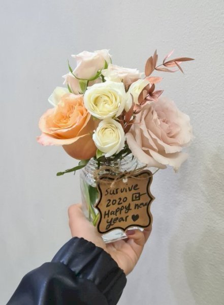 Orangia اورنجيا