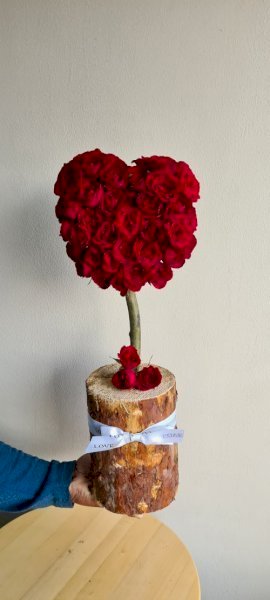 Tree of Love شجرة الحب