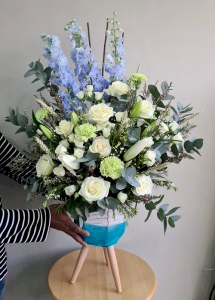 Baby Blue بيبي بلو