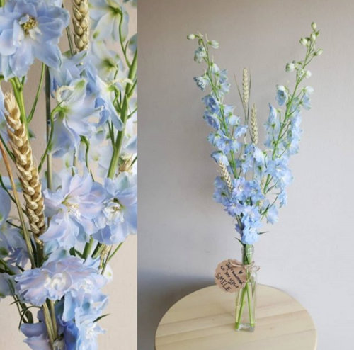 Baby Blue بيبي بلو